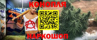 скорость Новодвинск