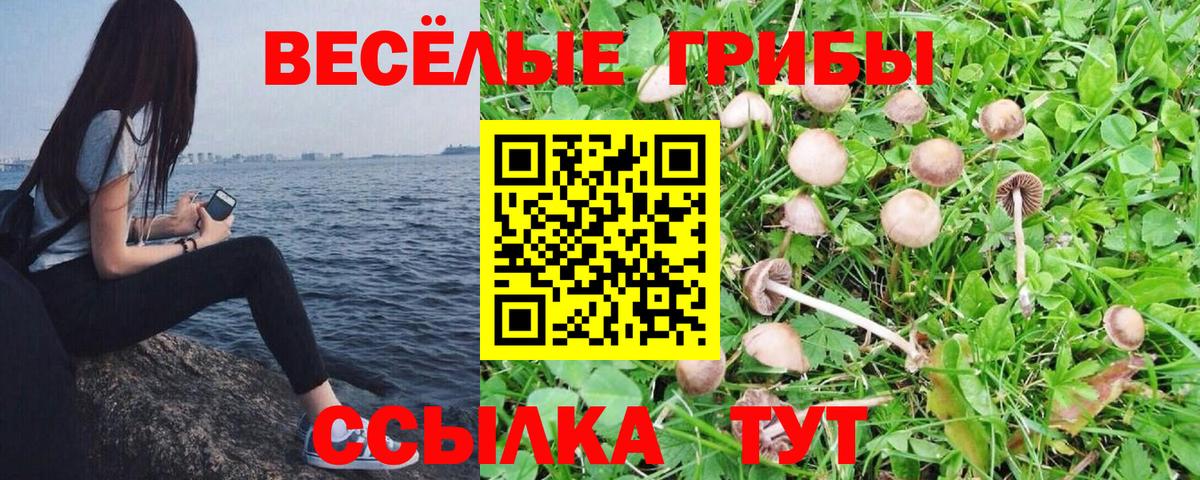 Родники  Псилоцибиновые грибы мицелий  Вход с VPN 